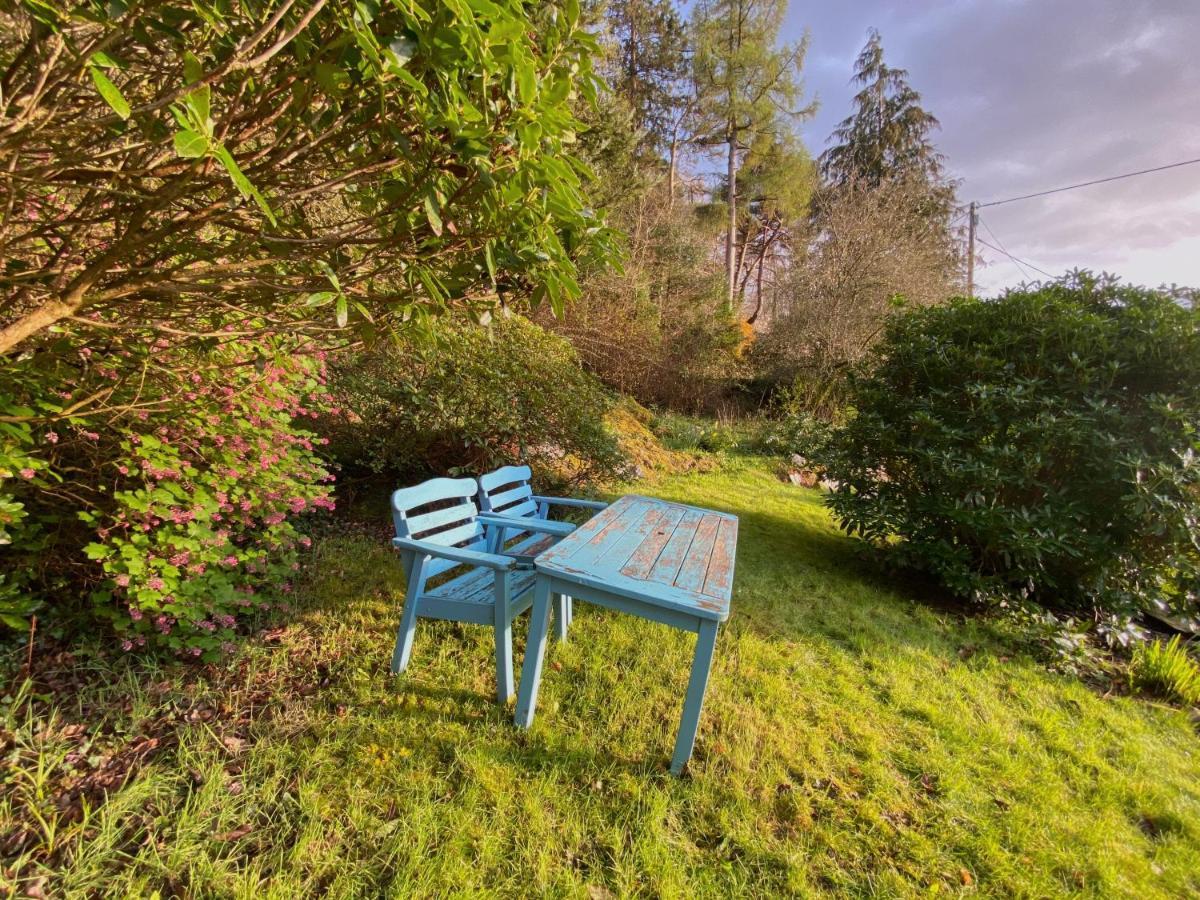 Tyn Y Fron 6 Bedroom House In Betws-Y-Coed Snowdonia エクステリア 写真
