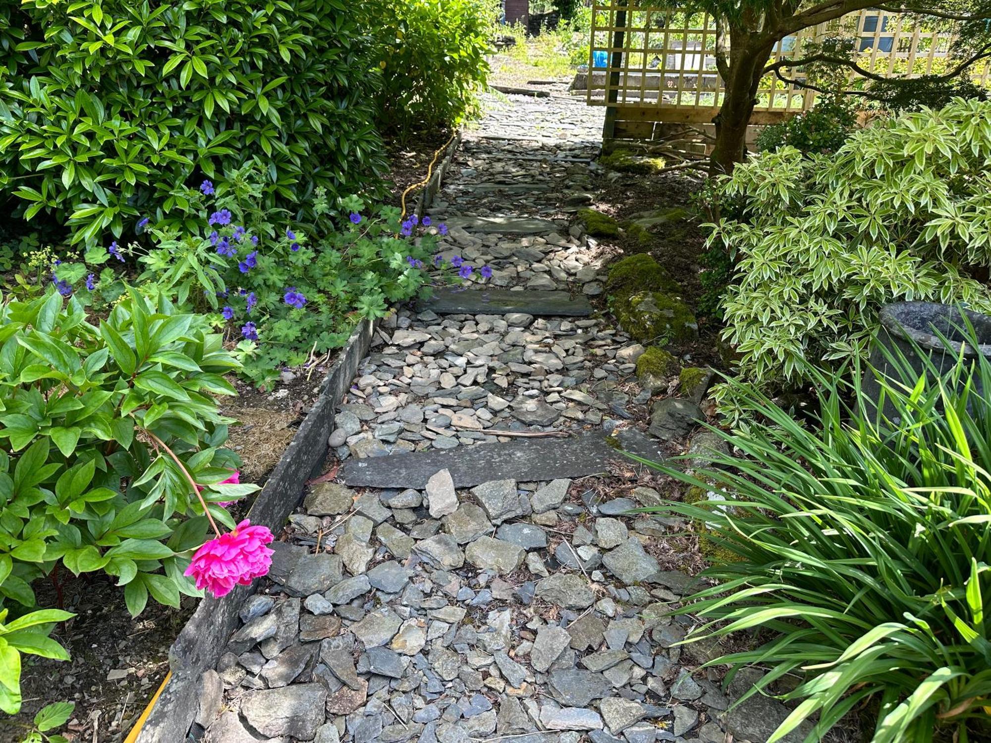 Tyn Y Fron 6 Bedroom House In Betws-Y-Coed Snowdonia エクステリア 写真