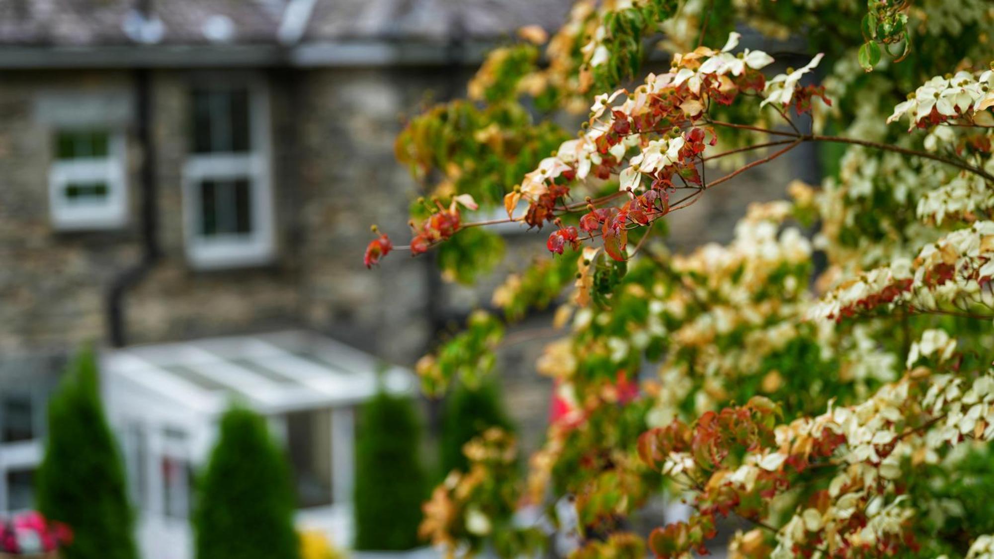 Tyn Y Fron 6 Bedroom House In Betws-Y-Coed Snowdonia エクステリア 写真