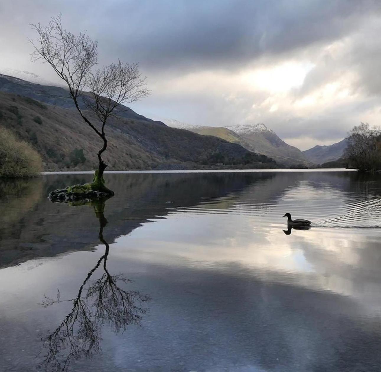 Tyn Y Fron 6 Bedroom House In Betws-Y-Coed Snowdonia エクステリア 写真