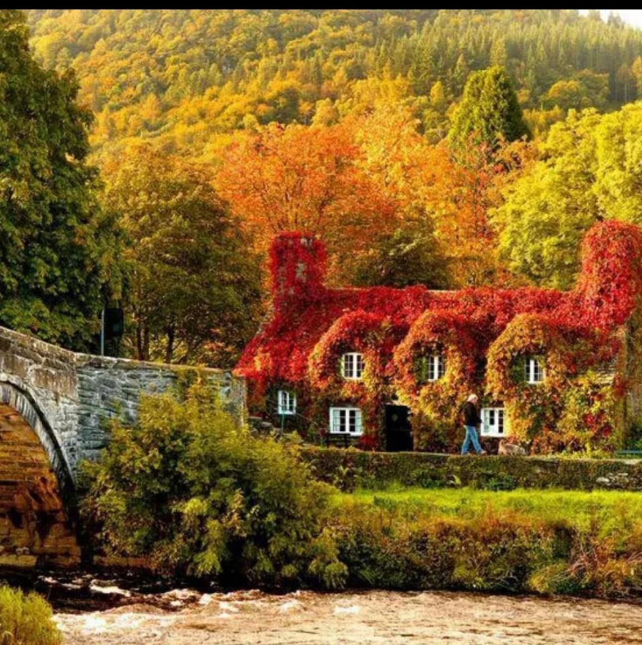 Tyn Y Fron 6 Bedroom House In Betws-Y-Coed Snowdonia エクステリア 写真